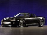 Jaguar XK-RS Concept 2004 images