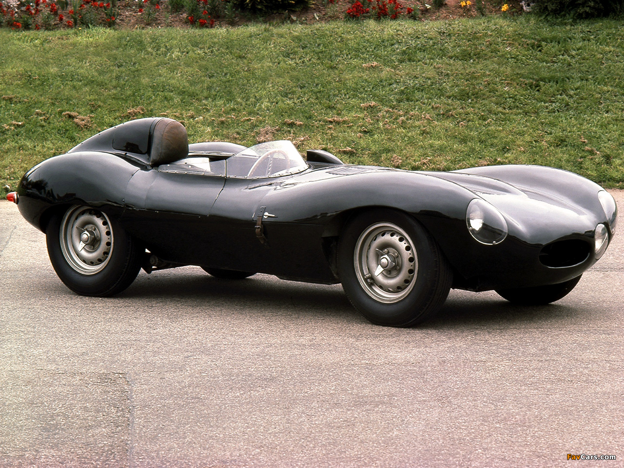 Images of Jaguar D-Type 1954 (1280 x 960)