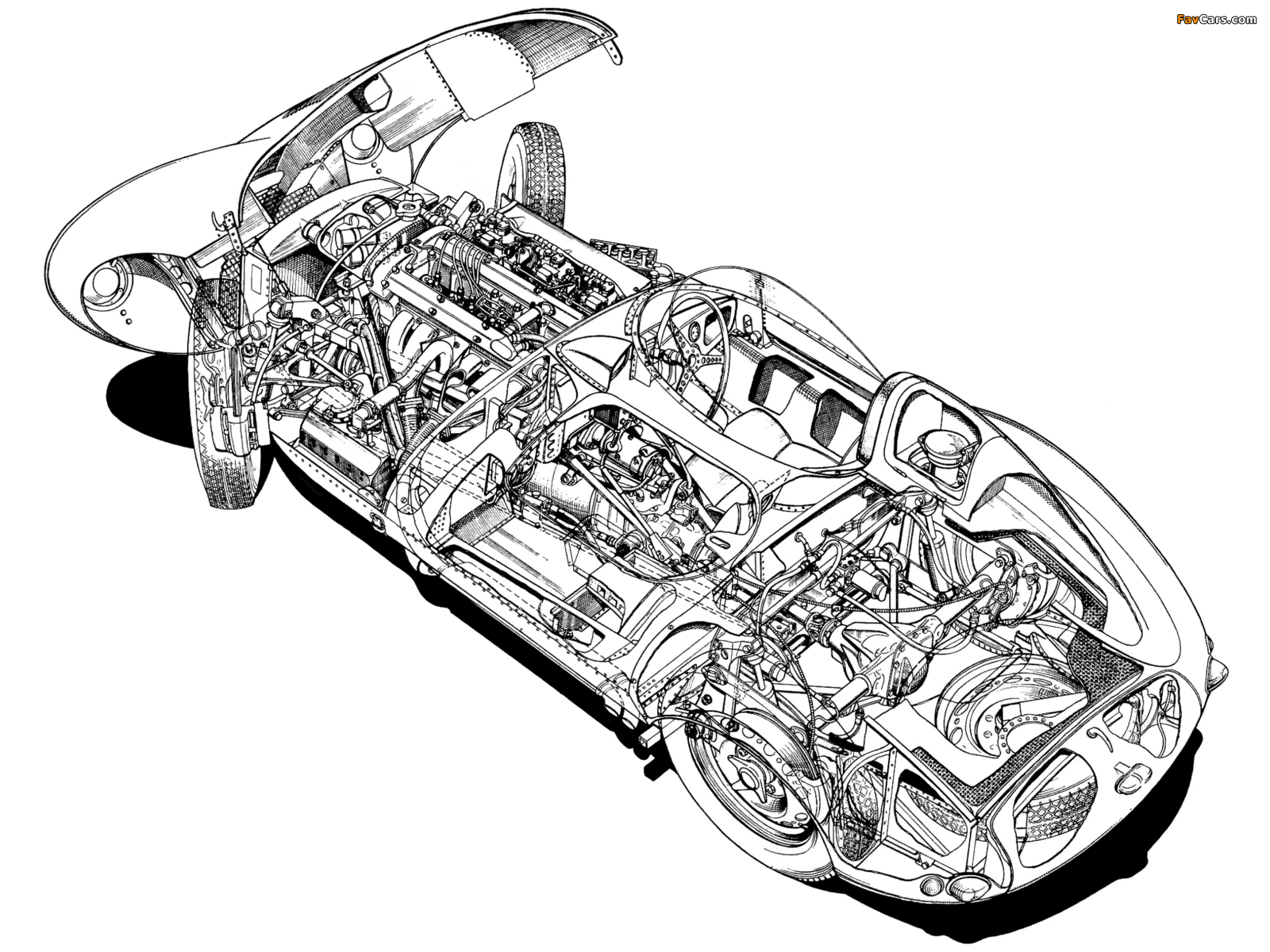 Images of Jaguar D-Type 1955–57 (1600 x 1200)