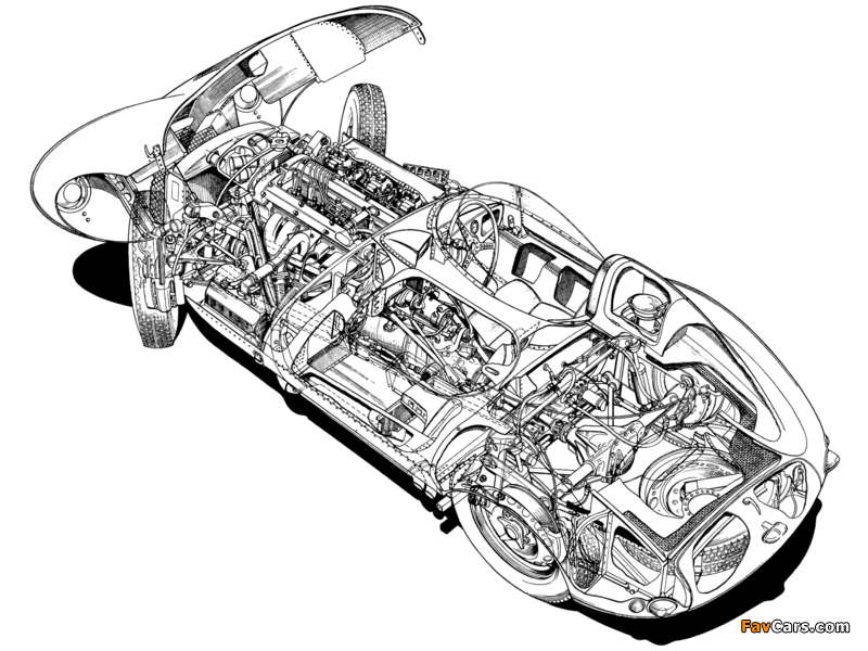 Images of Jaguar D-Type 1955–57 (800 x 600)