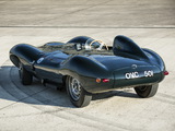Jaguar D-Type 1954 pictures