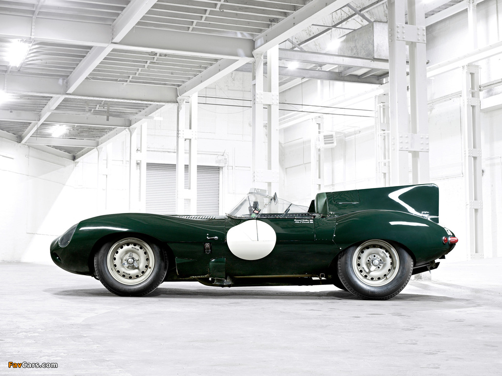 Jaguar D-Type 1955–57 images (1024 x 768)