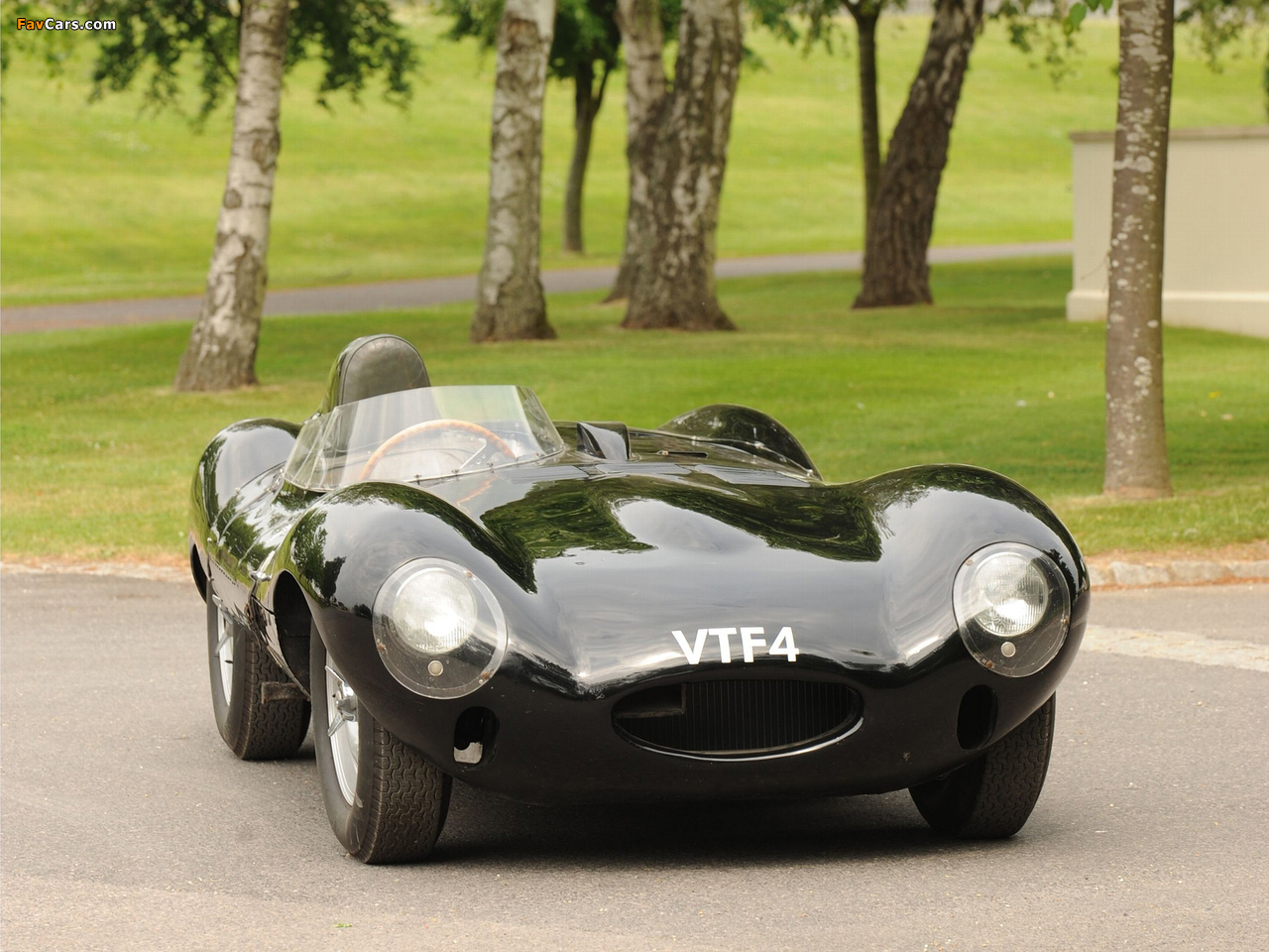 Jaguar D-Type 1955–57 images (1280 x 960)