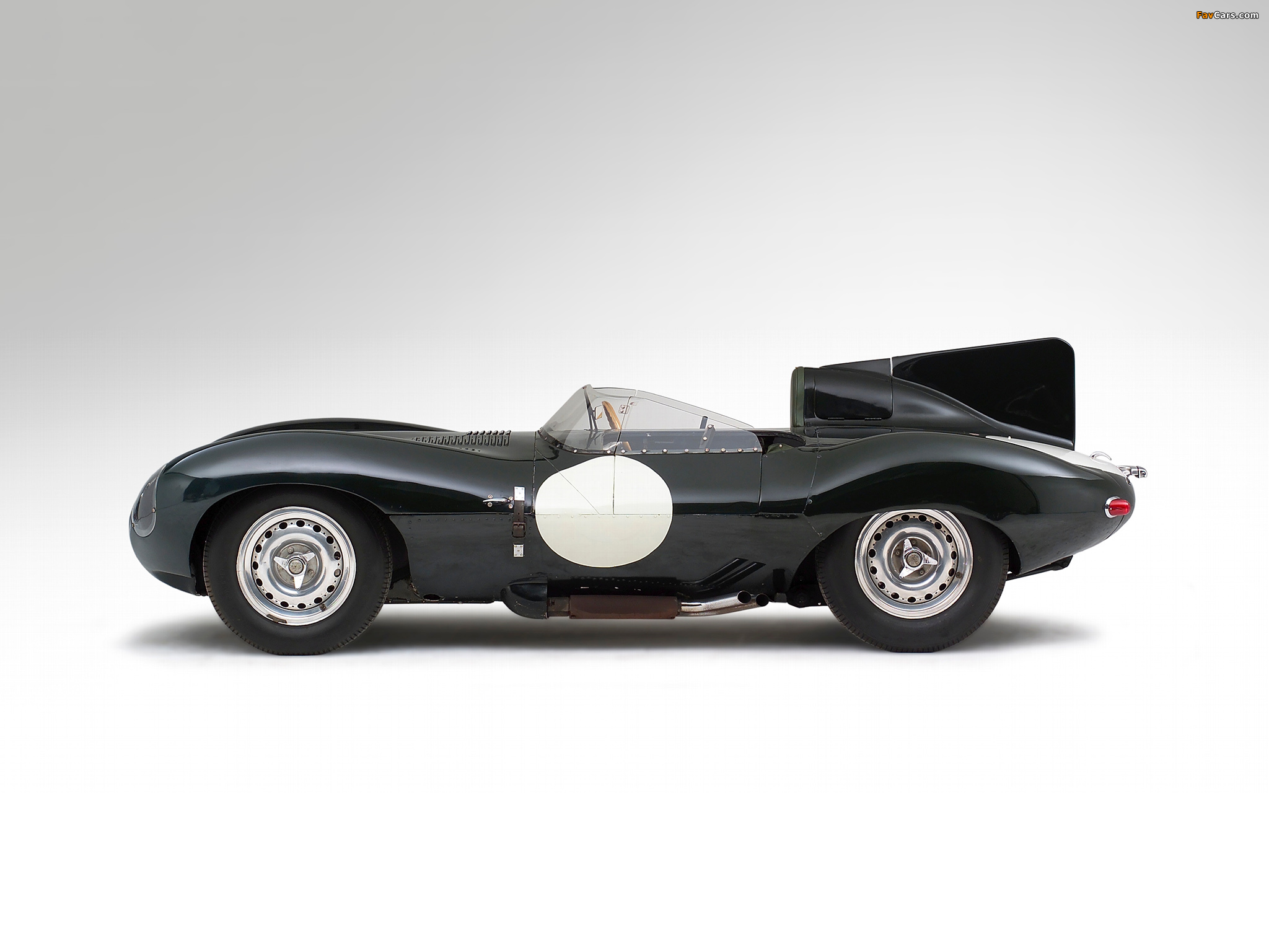 Jaguar D-Type 1955–57 photos (2048 x 1536)