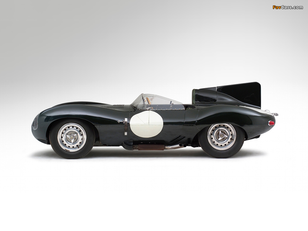 Jaguar D-Type 1955–57 photos (1024 x 768)