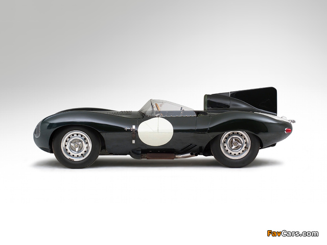 Jaguar D-Type 1955–57 photos (640 x 480)