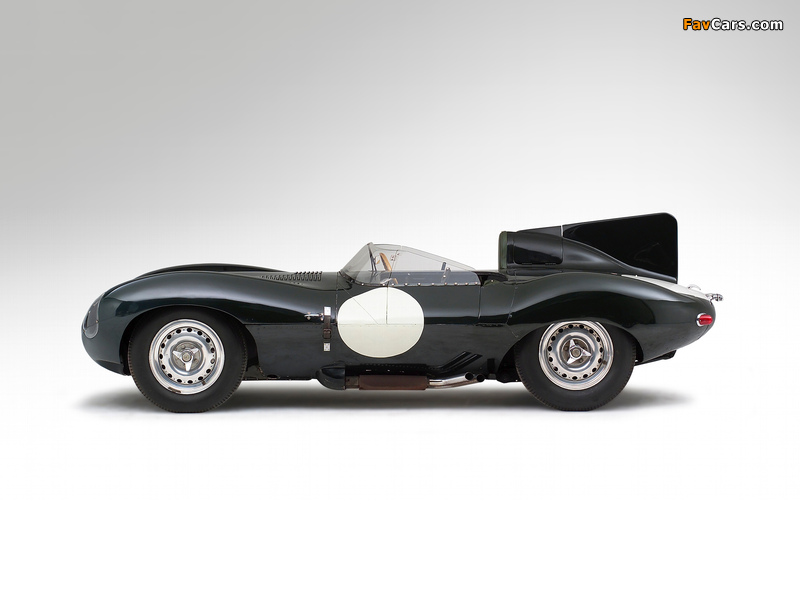 Jaguar D-Type 1955–57 photos (800 x 600)