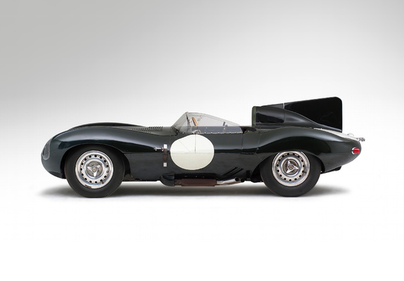 Jaguar D-Type 1955–57 photos