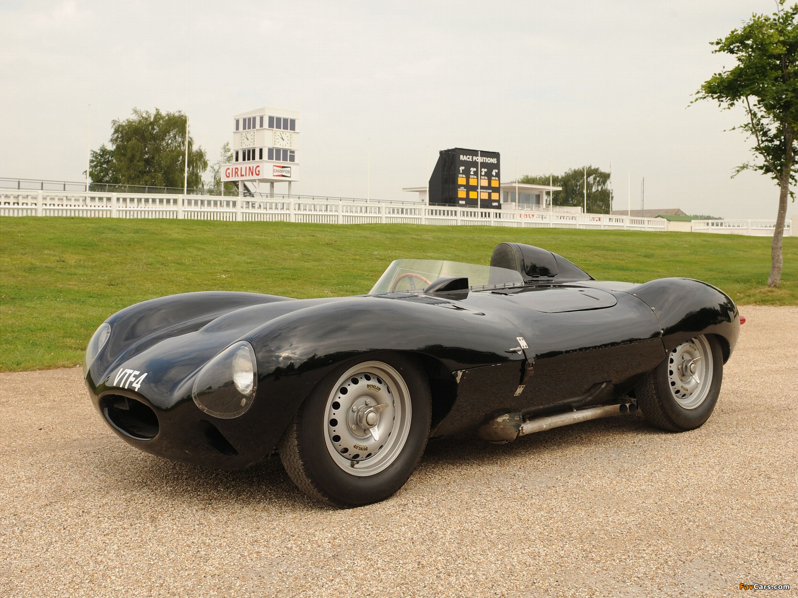 Photos of Jaguar D-Type 1955–57 (1600 x 1200)