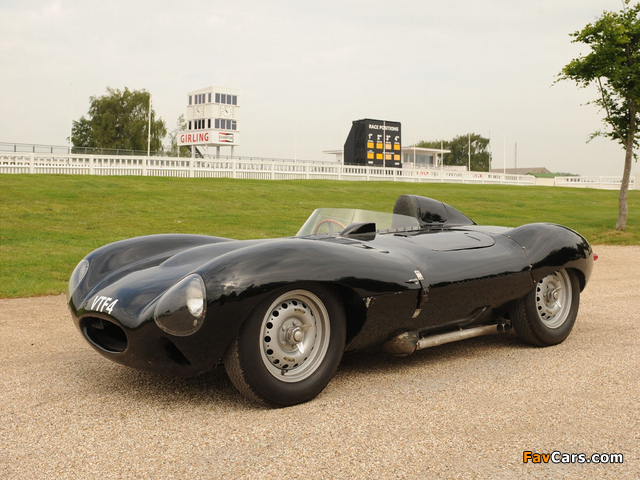 Photos of Jaguar D-Type 1955–57 (640 x 480)