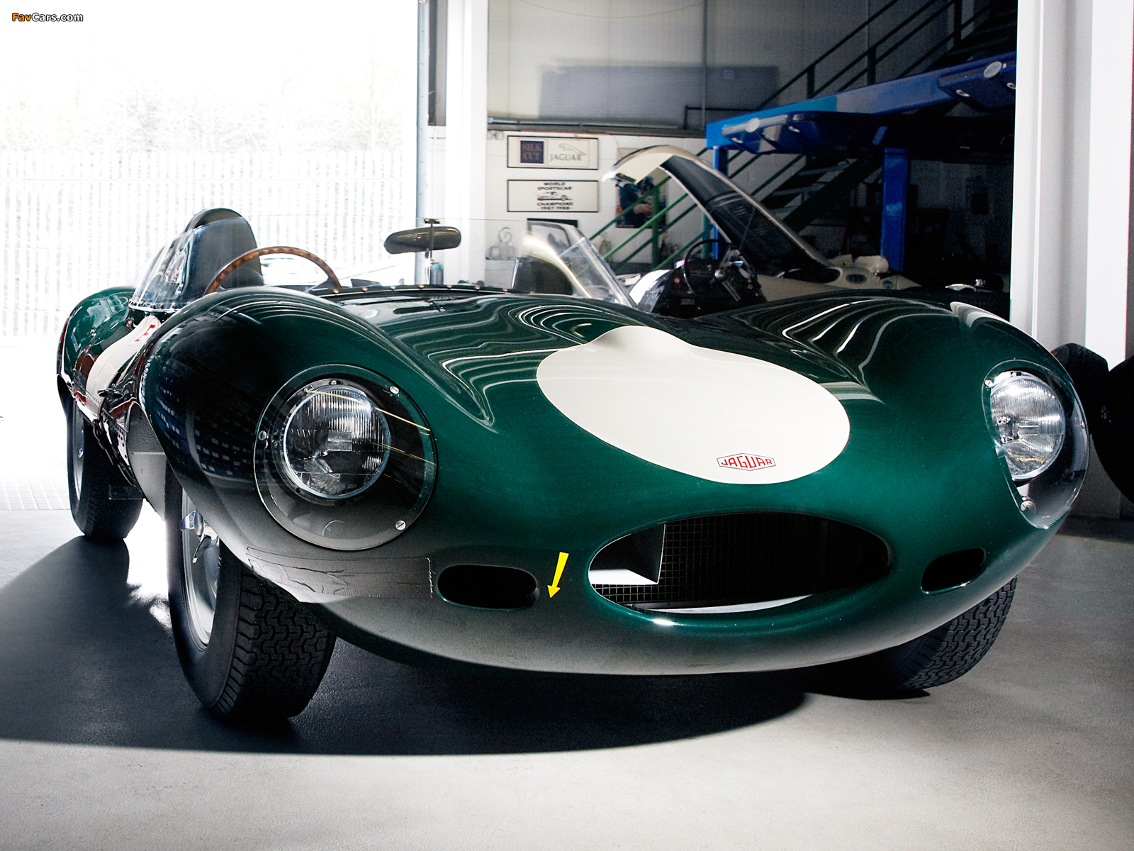 Photos of Jaguar D-Type 1955–57 (1600 x 1200)