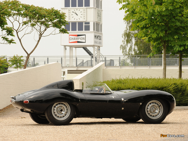 Jaguar D-Type 1955–57 wallpapers (800 x 600)