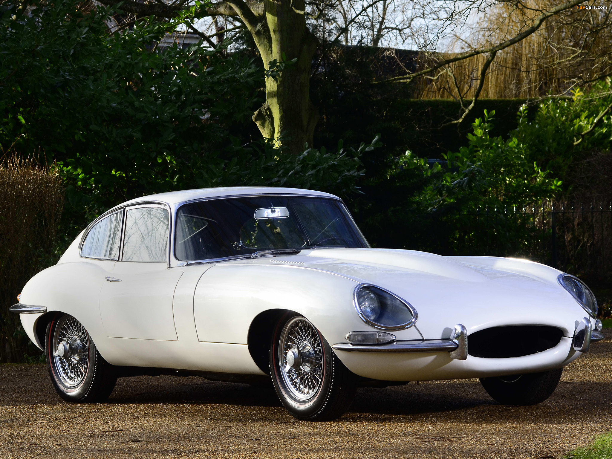 Jaguar E-Type Fixed Head Coupe (Series I) 1961–67 images (2048 x 1536)