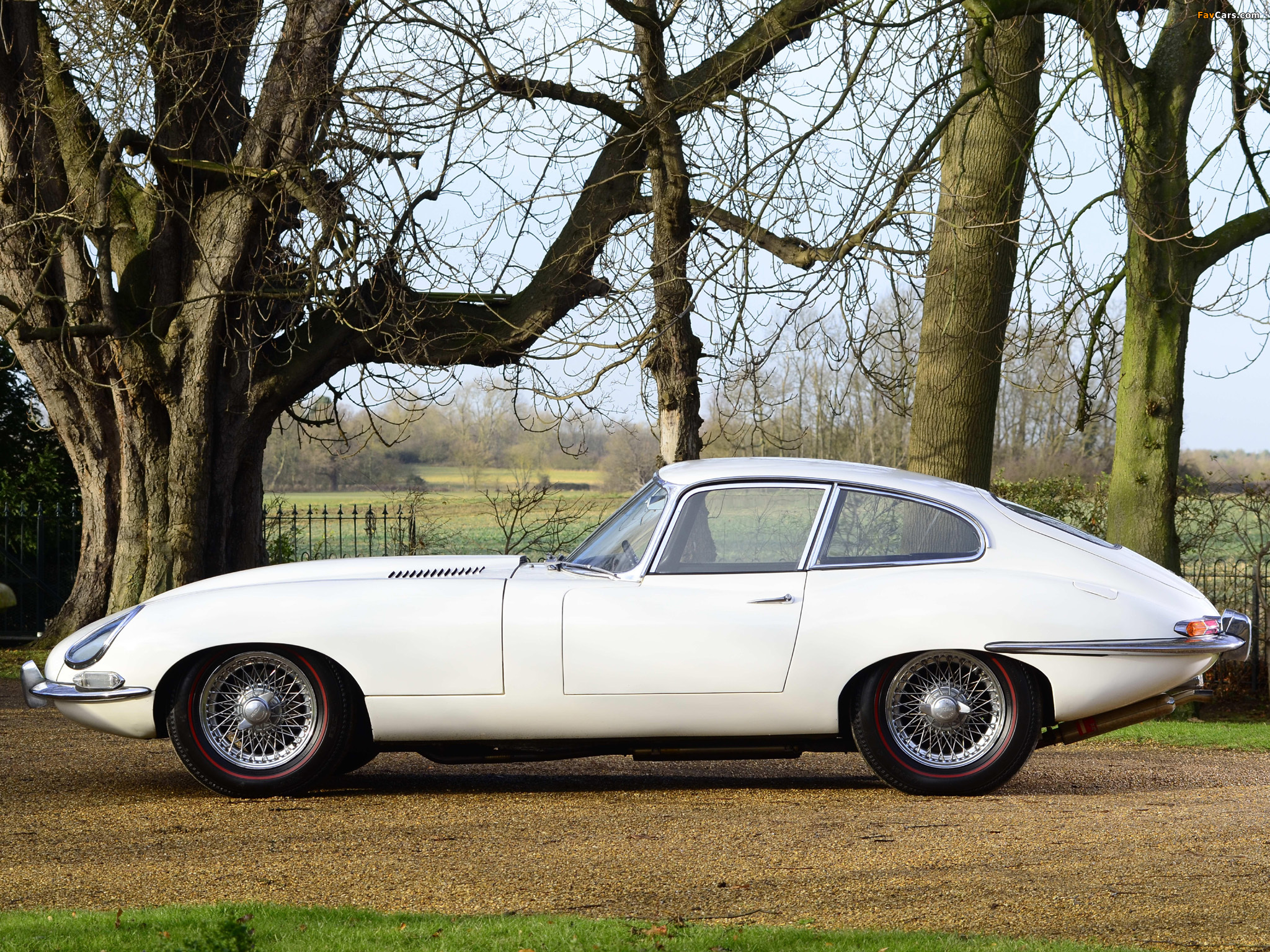 Jaguar E-Type Fixed Head Coupe (Series I) 1961–67 images (2048 x 1536)