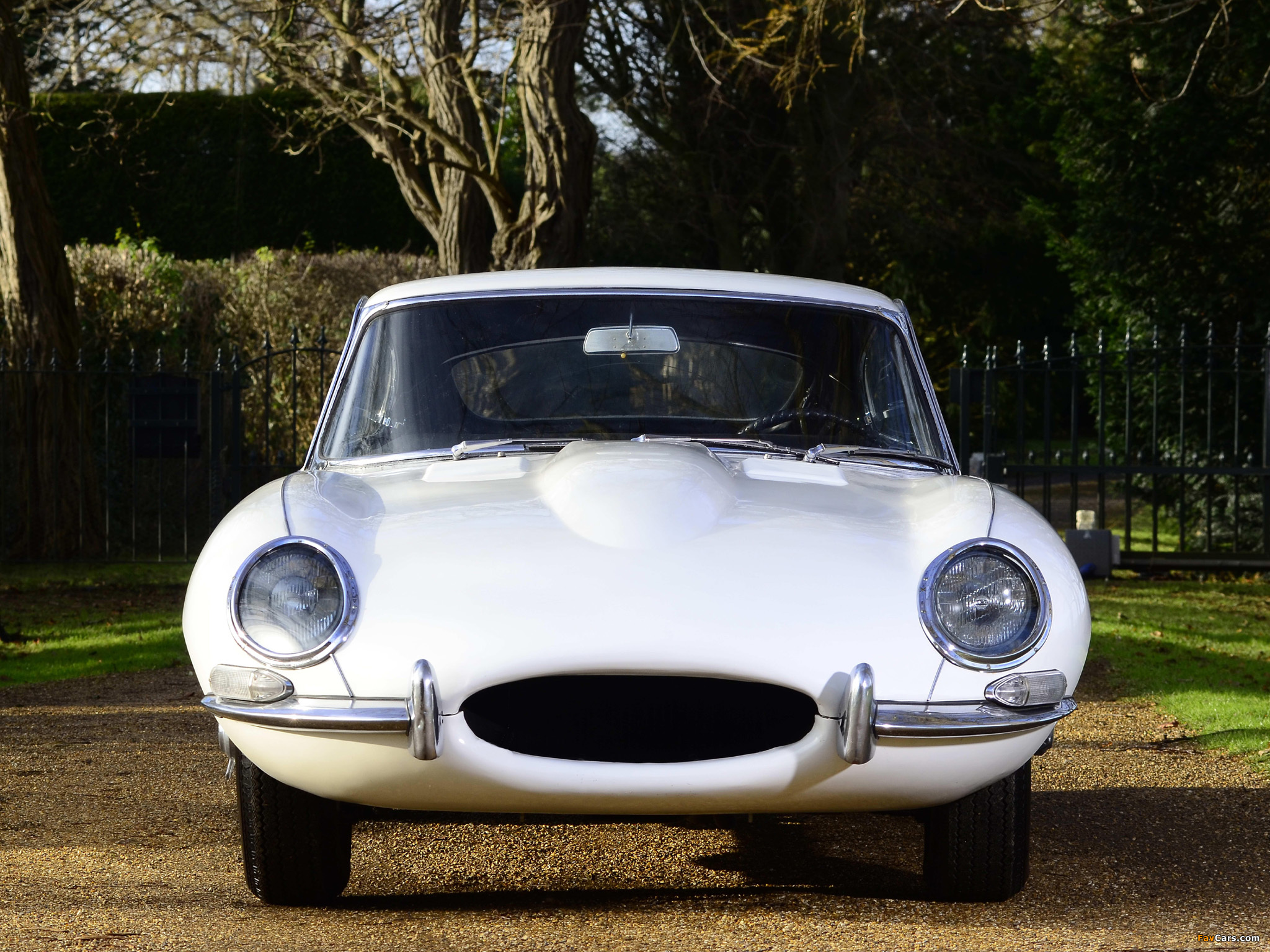 Jaguar E-Type Fixed Head Coupe (Series I) 1961–67 pictures (2048 x 1536)