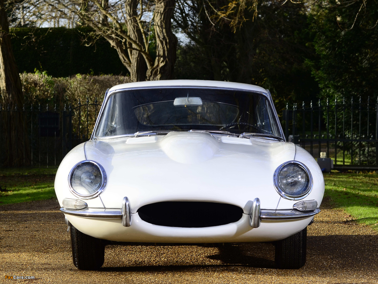 Jaguar E-Type Fixed Head Coupe (Series I) 1961–67 pictures (1280 x 960)