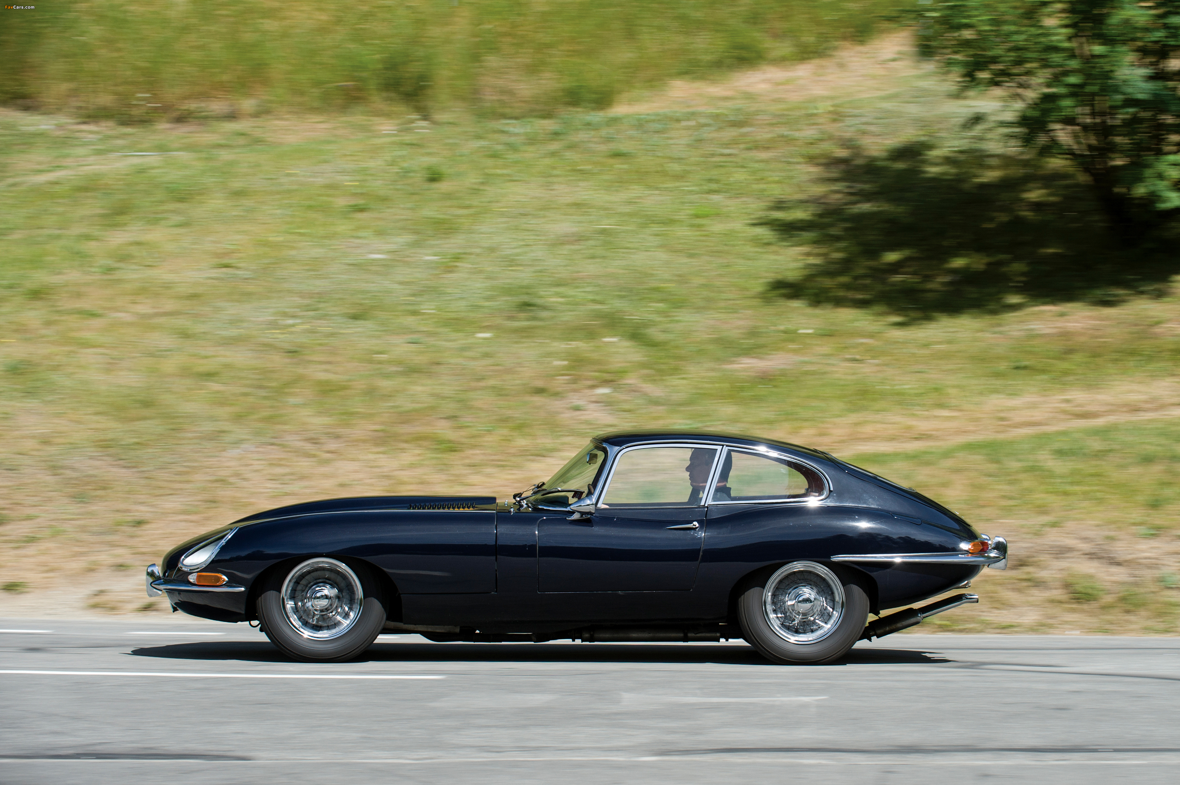 Jaguar E-Type 4.2-Litre Fixed Head Coupe EU-spec (XK-E) 1964–1967 pictures (4000 x 2662)