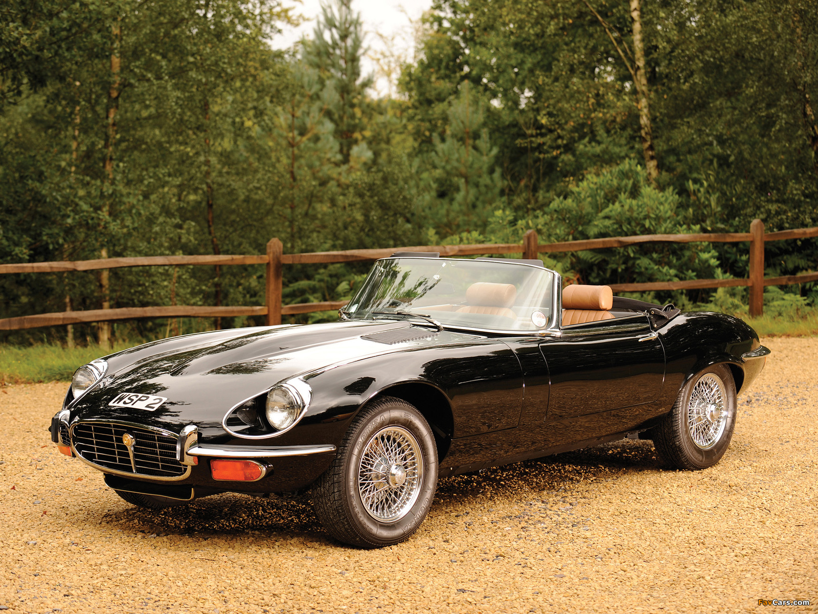 Jaguar E-Type V12 Roadster Commemorative Edition (Series III) 1974 images (1600 x 1200)