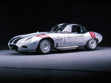 Jaguar Select Edition Racing E-Type Roadster pictures