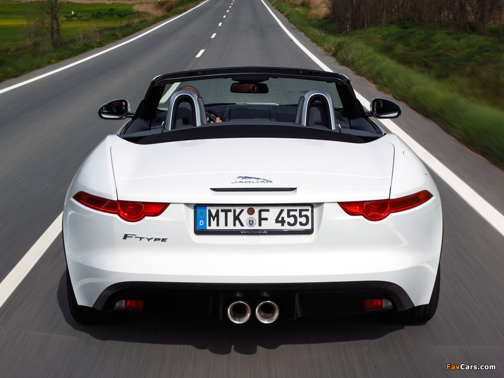Images of Jaguar F-Type 2013 (1024 x 768)
