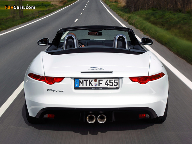 Images of Jaguar F-Type 2013 (640 x 480)