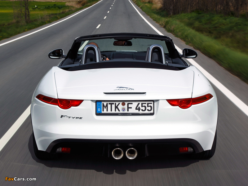 Images of Jaguar F-Type 2013 (800 x 600)