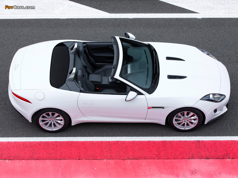 Jaguar F-Type 2013 images (800 x 600)