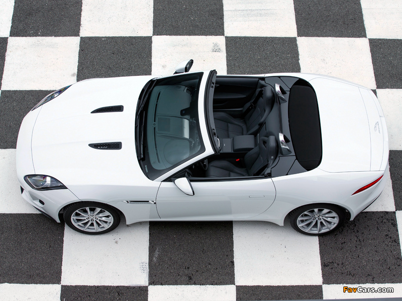 Jaguar F-Type 2013 pictures (800 x 600)