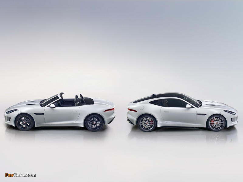 Jaguar F-Type images (800 x 600)