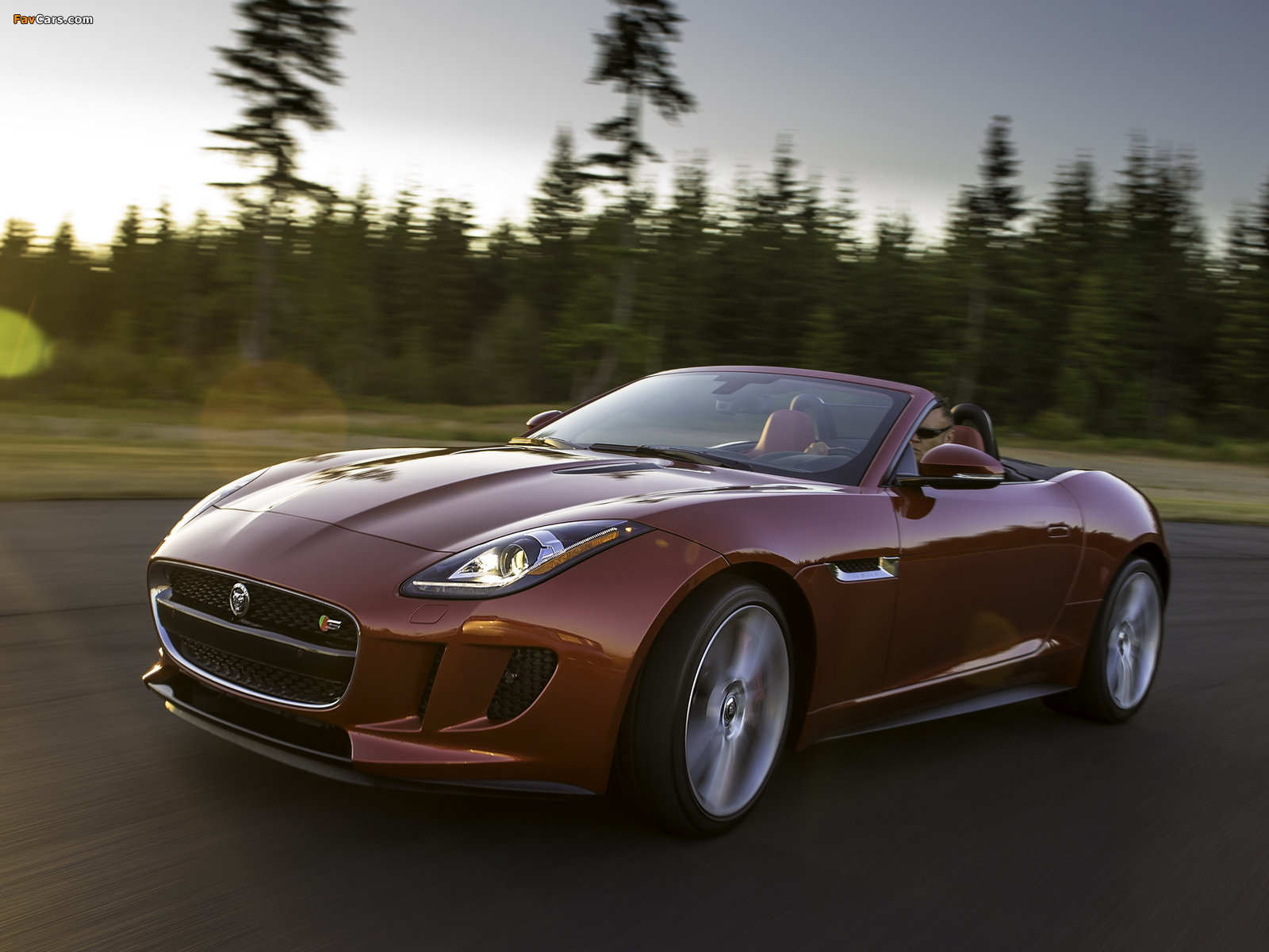 Photos of Jaguar F-Type V8 S US-spec 2013 (1600 x 1200)