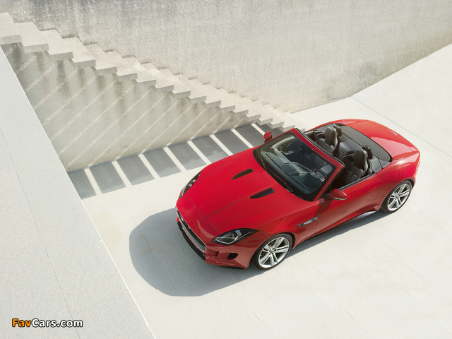 Photos of Jaguar F-Type V8 S Convertible 2013 (640 x 480)
