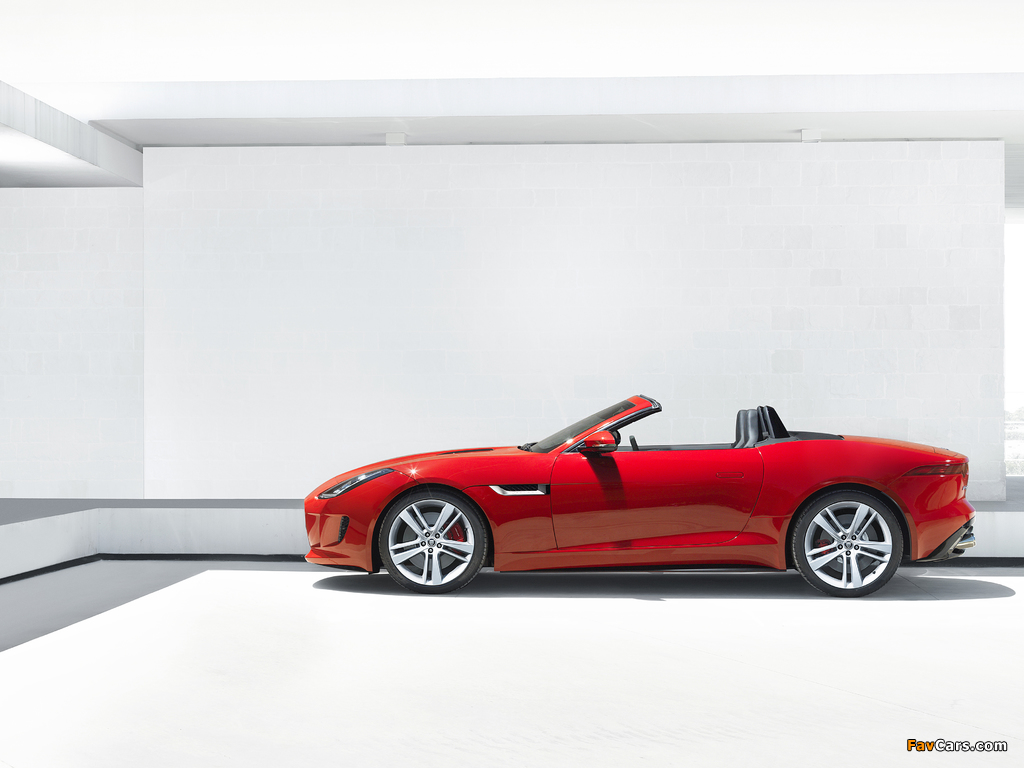 Photos of Jaguar F-Type V8 S Convertible 2013 (1024 x 768)