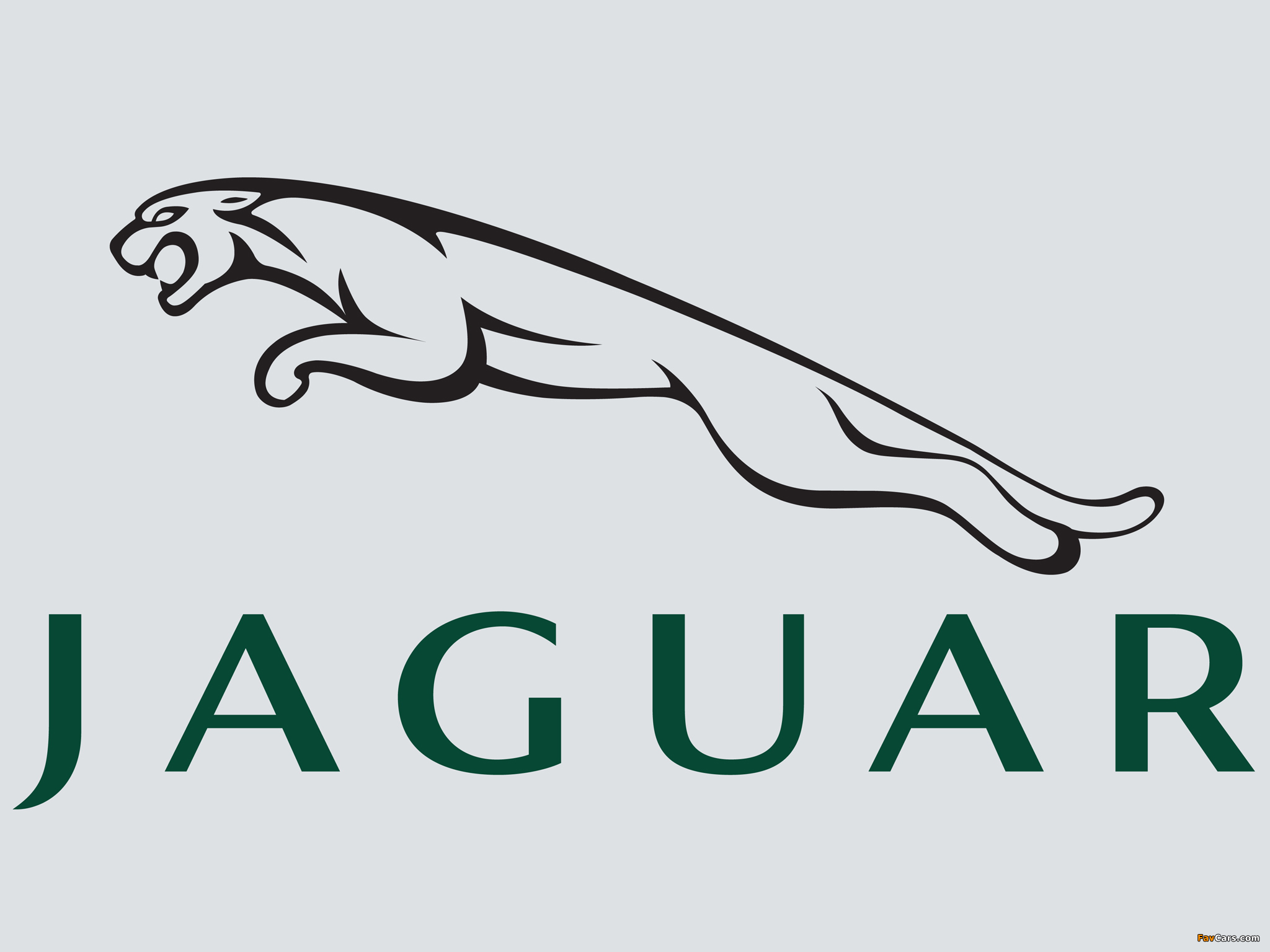 Images of Jaguar (2048 x 1536)