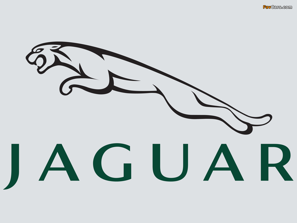 Images of Jaguar (1024 x 768)