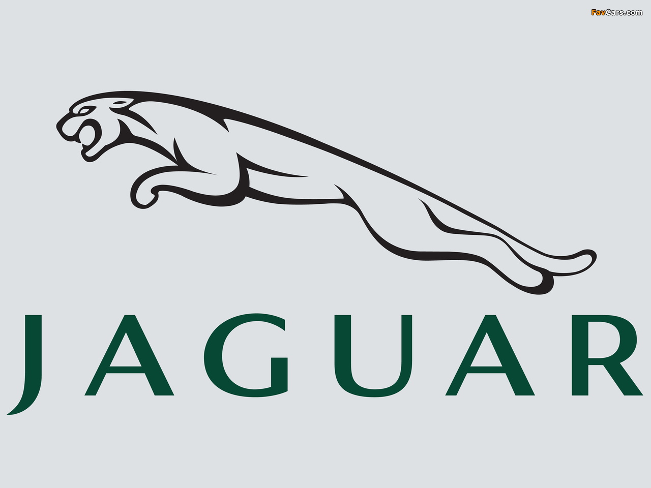 Images of Jaguar (1280 x 960)