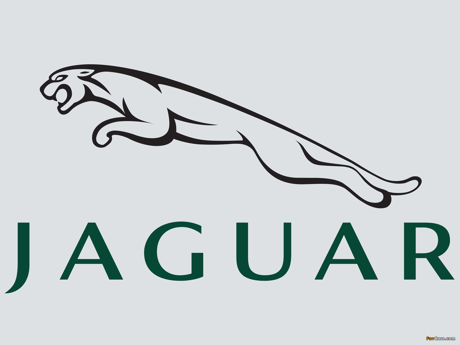 Images of Jaguar (1600 x 1200)