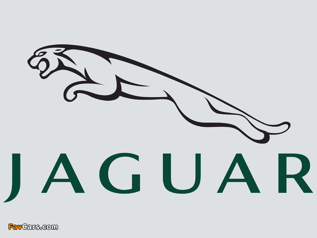 Images of Jaguar (640 x 480)