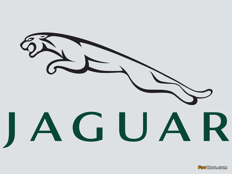Images of Jaguar (800 x 600)
