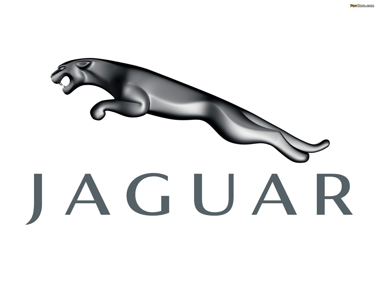 Pictures of Jaguar (1600 x 1200)