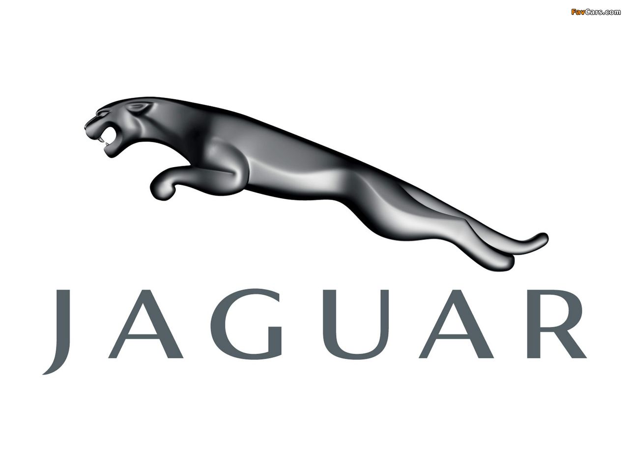 Pictures of Jaguar (1280 x 960)