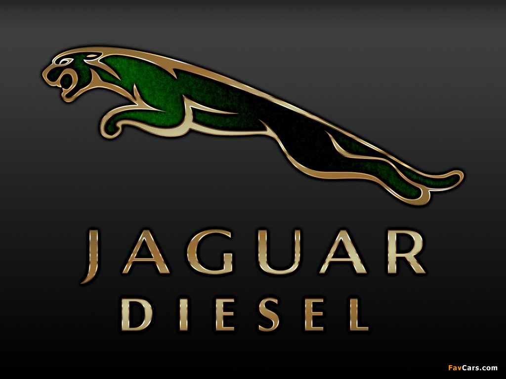Pictures of Jaguar (1024 x 768)