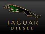 Pictures of Jaguar
