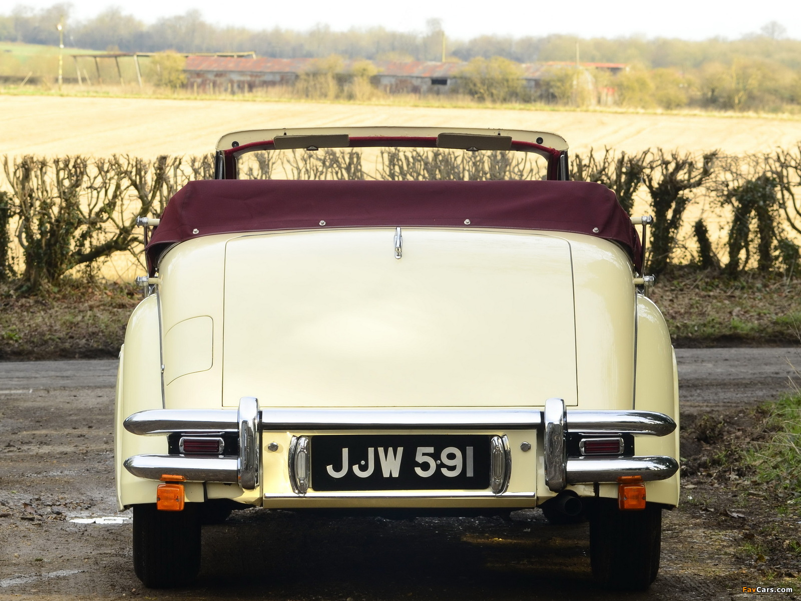 Photos of Jaguar Mark V 3 ВЅ Litre Drophead Coupe UK-spec 1949–51 (1600 x 1200)