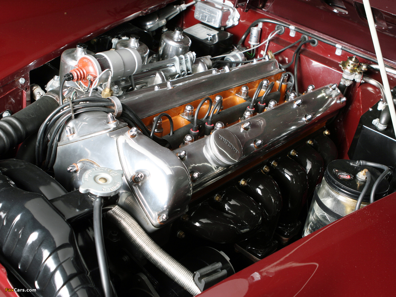 Jaguar Mark VII Coupe pictures (1280 x 960)