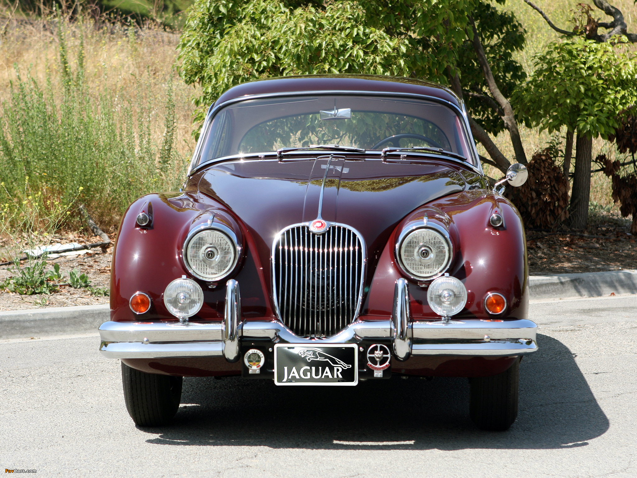 Pictures of Jaguar Mark VII Coupe (2048 x 1536)