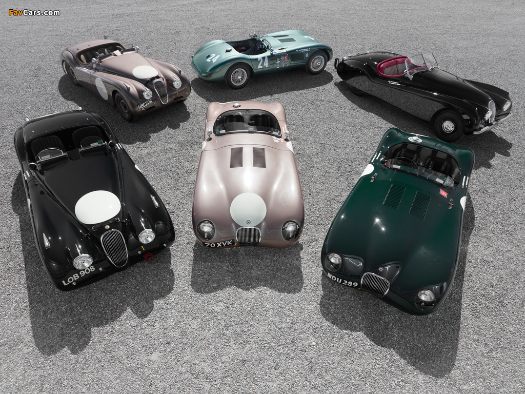Images of Jaguar (1024 x 768)