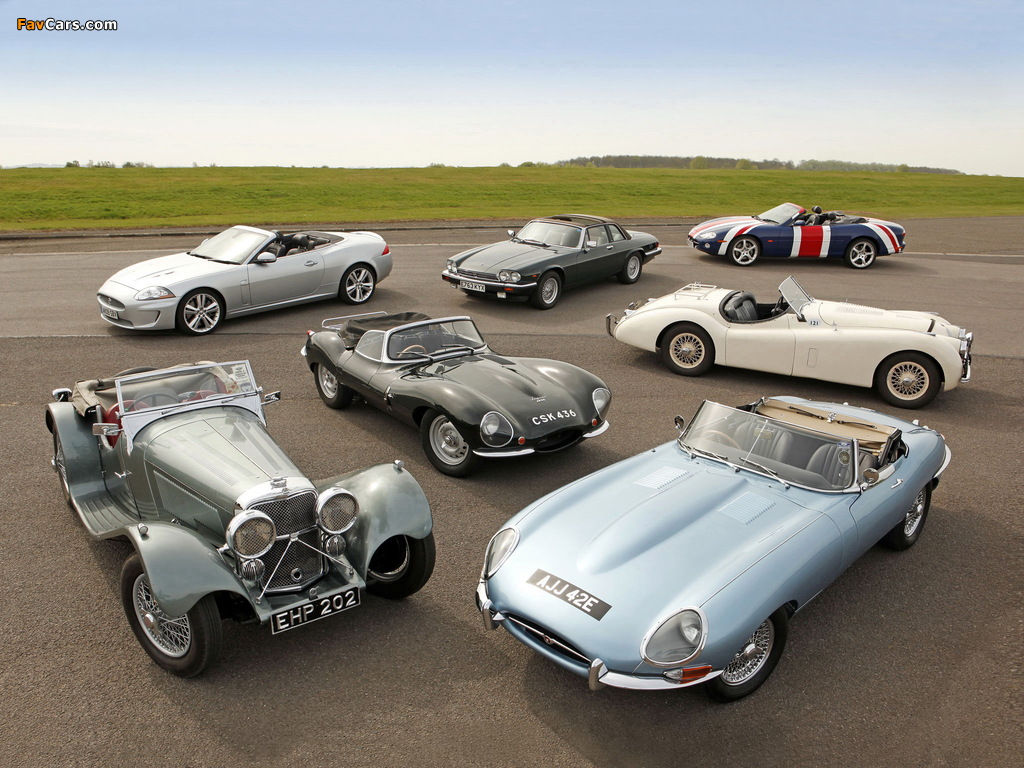Jaguar images (1024 x 768)