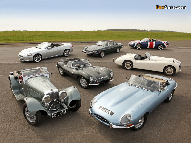 Jaguar images (640 x 480)