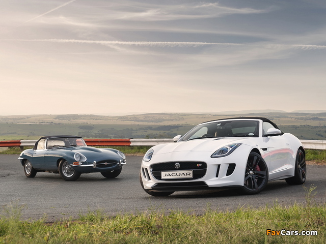Jaguar images (640 x 480)
