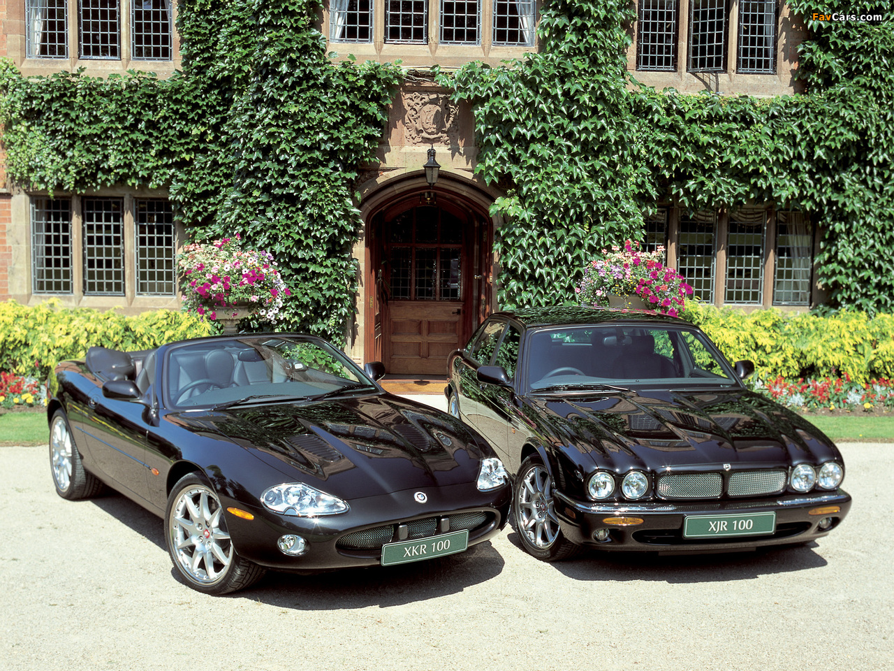 Jaguar photos (1280 x 960)